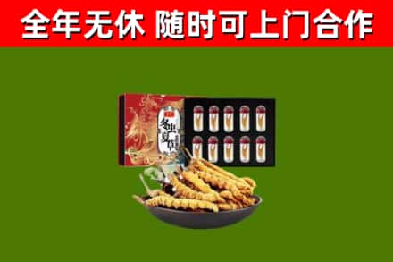 呼中回收冬虫夏草价格